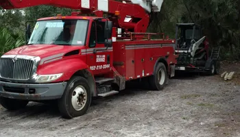 Tree Removal for Asbell's Tree & Land Services in Gilchrist County, FL
