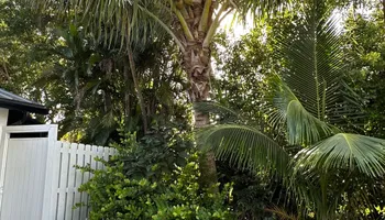Landscape & Design for South Florida Terra Systems in Boynton beach ,  FL