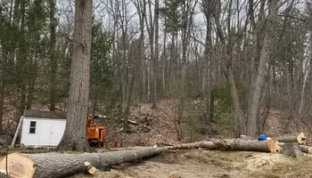 Tree Work for Baboosic Tree & Landscape in Merrimack, NH