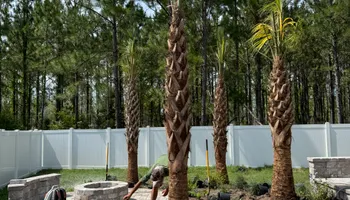 Landscape Lighting for Pro Designs Landscaping in Jacksonville, FL