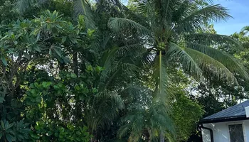 Landscape & Design for South Florida Terra Systems in Boynton beach ,  FL