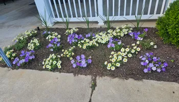 Lawn Maintenance for Trinity Landscapes  in Lumberton, NC