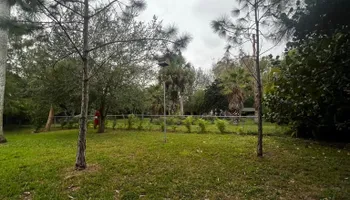 Tree Removal for Outdoor Solutions Of The Glades in Hendry County, FL