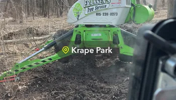 Tree Removal for Fransen's Tree Service  in Freeport, IL