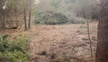 Dirt Work for Rogers Land Services in Hawkinsville, GA