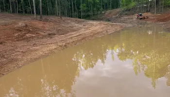Land Clearing for A.P Land Management in Atlanta, Ga