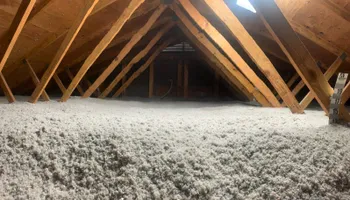 Pest Control Management for Pest Control Management in Montgomery County, PA