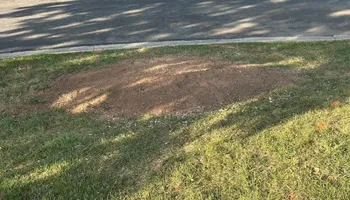 Stump Removal for Mad Dust Stump Grinding in Howard County, MD