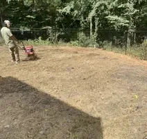 Landscape Design for Olmedo Home Services in Davie County, NC