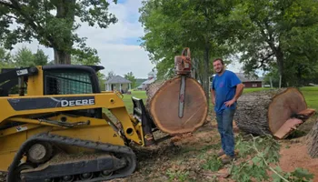 Tree Removal for Smith Tree Experts in Palmyra, VA