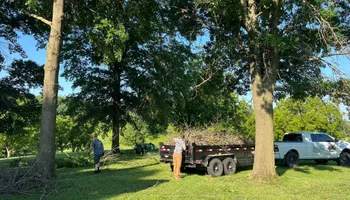 Tree Removal for Baker Professional Services LLC in Shelbina, MO