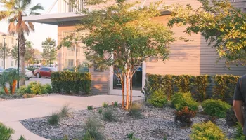 Landscape Lighting for Pro Designs Landscaping in Jacksonville, FL