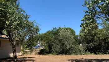Tree Removal for Lalo's Tree Service in Willows, CA