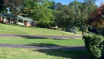 Tree Removal for Ramirez Tree Care in Pontiac, Michigan