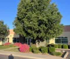 Tree Removal for Sammy's Tree Services in Sacramento, CA