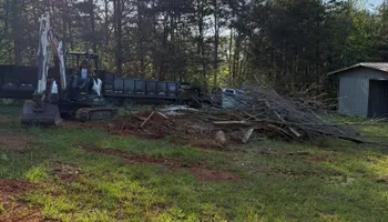 Tree Removal for Brooks Tree Service in Casar, NC