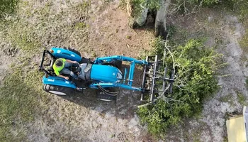 Tree Removal for Highlands Tree Service LLC in Avon Park, FL