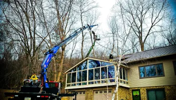 Tree Removal for Down To Earth Tree Service in Red Wing,  Minnesota