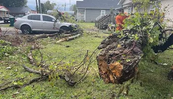 Tree Removal for Ross Family Tree Service LLC  in Hohenwald, TN