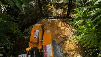 Tree Removal for Outdoor Solutions Of The Glades in Hendry County, FL