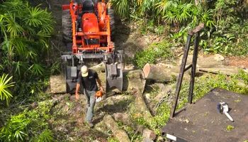 Tree Removal for Near Me Tree Service, Inc. in DeLand, FL