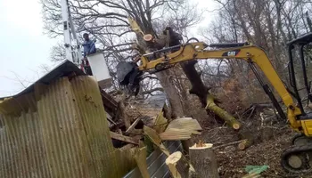 Tree Removal for Puckett's Tree Service in Decatur County, TN