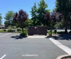 Tree Removal for Sammy's Tree Services in Sacramento, CA