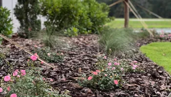 Sod Installation for Roberts Lawn & Landscape in Steinhatchee, FL
