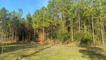 Land Clearing for South Mississippi Land Management LLC in Columbia, Mississippi
