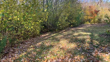 Residential Clear Outs for Bruce's Removal Demolition and Tree Services in Gilsum, NH