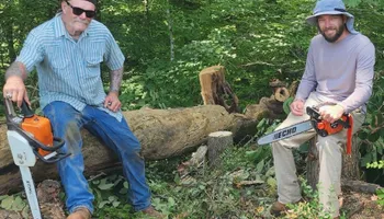Tree Removal for Cassidy Tree Care in Santa Fe, TN