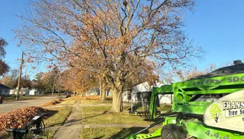 Tree Removal for Fransen's Tree Service  in Freeport, IL