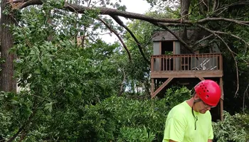 Tree Care for Buffalo Family Tree Care in Buffalo, MN