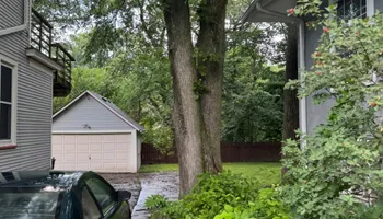 Tree Removal for Dittmer Tree Service in Davenport, IA