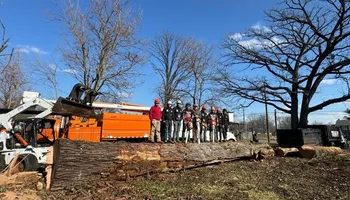 Tree Removal for Williams Tree Service LLC in Indianapolis, IN