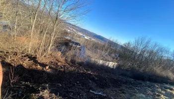 Tree Removal for Licensed to Cut Tree Service in Athens, PA