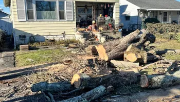 Tree Removal for Kadin’s Tree Service in North Vernon, IN