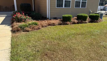 Painting and Drywall for Camalett Services in Perry, GA