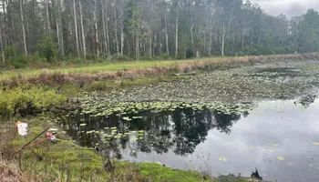 Land Clearing & Demolition for Ewc Land Clearing and more in Lake Park, GA