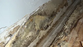 Water Mitigation for N&D Restoration Services When Disaster Attacks, We Come In in Cape Coral,  FL