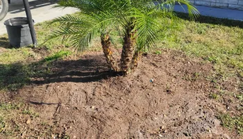 Tree Removal for Highlands Tree Service LLC in Avon Park, FL