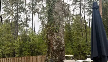 Tree Removal for Hawkins Tree Service & Land Management in Richmond Hill, GA