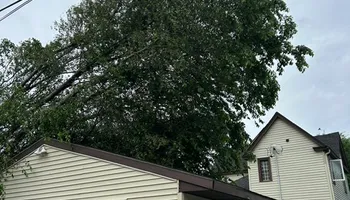 Tree Removal for Allstate Tree Service and Crane in Spring Lake Park, MN