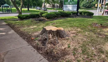 Residential Tree Services for TH Property Service, LLC in Manlius, NY