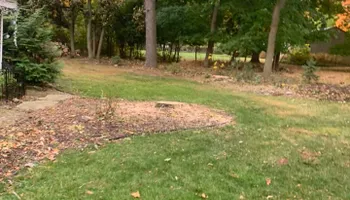 Tree Removal for Ramirez Tree Care in Pontiac, Michigan