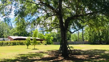 Tree Trimming for Professional Landscape & Irrigation in Pensacola, FL