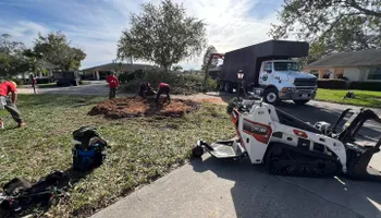 Tree Removal for TREE BOYS in Ruskin, FL