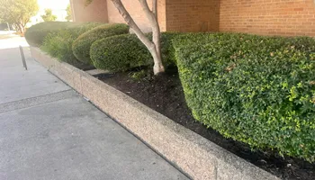 Mowing for Rustic Roots Landscaping in Austin, TX