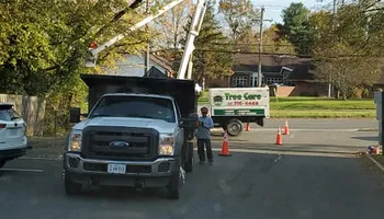 Tree Removal for W D Giampa Lawns and Landscape Inc. in Independent Hill, VA