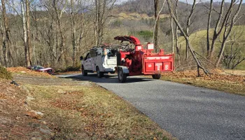 Tree Removal for Platas Tree Service  in Clyde, NC